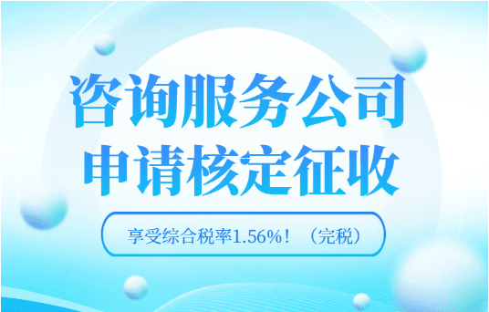 个人所得税核定征收方式全解析,政策要点与实务应用 个人所得税核定征收方式包括 第1张 个人所得税核定征收方式全解析,政策要点与实务应用 个人所得税核定征收方式包括 第1张