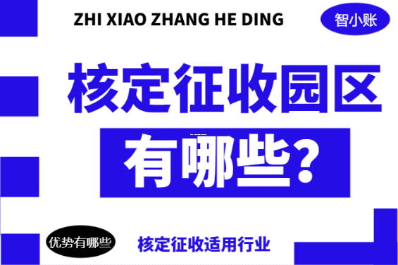 核定征收,小微老板的税务定心丸,不懂你就亏大了! 核定征收的地方 第1张 核定征收,小微老板的税务定心丸,不懂你就亏大了! 核定征收的地方 第1张