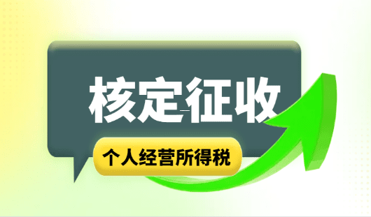 个体户定额征收报税全流程解析 个体户定额征收怎么报税 第1张 个体户定额征收报税全流程解析 个体户定额征收怎么报税 第1张