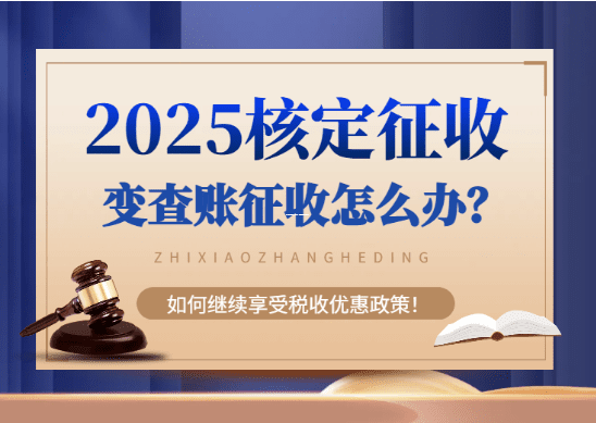 个体户核定征收标准解析,政策框架与实操指南 个体户核定征收标准 第1张 个体户核定征收标准解析,政策框架与实操指南 个体户核定征收标准 第1张