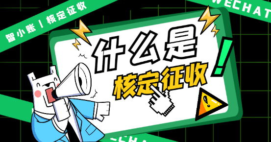 核定征收应纳税所得额计算全流程解析与实务操作指南 核定征收应纳税所得额计算 第1张 核定征收应纳税所得额计算全流程解析与实务操作指南 核定征收应纳税所得额计算 第1张