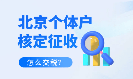返税政策下的税务稽查重点解析及企业应对策略 返税政策下税务稽查重点 第1张 返税政策下的税务稽查重点解析及企业应对策略 返税政策下税务稽查重点 第1张