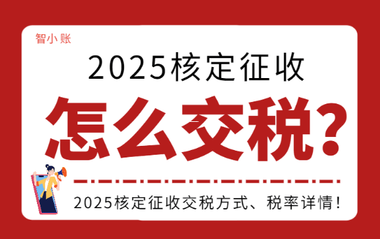 个体户税务征收方式选择指南，核定征收与查账征收深度解析