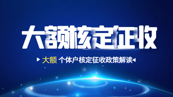 个体户核定征收税务核查全流程指南（2025年版）