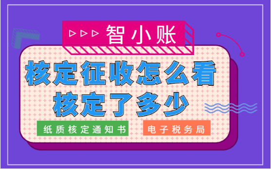 海南个体户核定征收政策解读与实操指南